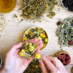 Dry organic ecological herbal tea, berries with female hands. Antistress, relaxation wellbeing