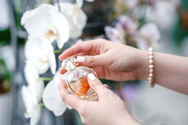 Women's hands hold a bottle of perfume. Elegance and luxury. Eau de Toilette. Cosmetics